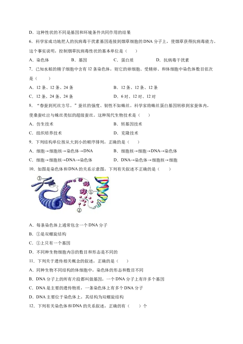 第2章生物的遗传与变异（B&middot;能力提升练）-单元测试2022-2023学年八年级生物下册分层训练AB卷（人教版）（原卷版）_new_1、初中学习资料_4-6、生物_4-6-4、初二生物下册