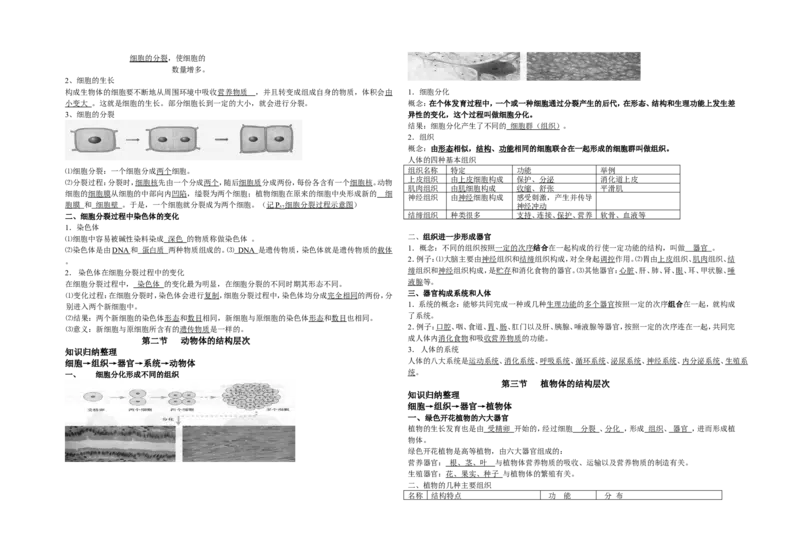 第二单元知识总结_1、初中学习资料_2024秋改版_七上生物最新版课件_同步练习+单元测_第二单元多种多样的生物_知识总结