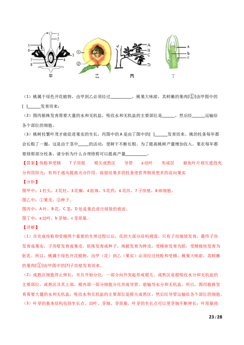 期末测试（B卷&middot;提升能力）（解析版）_1、初中学习资料_4-6、生物_4-6-1、初一生物上册_期末试卷（8份）_期末测试（B卷&bull;提升能力）-2021-2022学年七年级生物学上册同步单元AB卷（人教版）