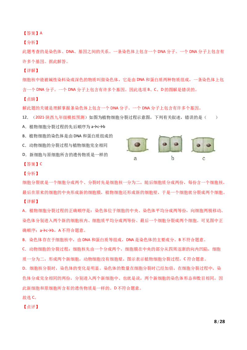 期末测试（B卷&middot;提升能力）（解析版）_1、初中学习资料_4-6、生物_4-6-1、初一生物上册_期末试卷（8份）_期末测试（B卷&bull;提升能力）-2021-2022学年七年级生物学上册同步单元AB卷（人教版）