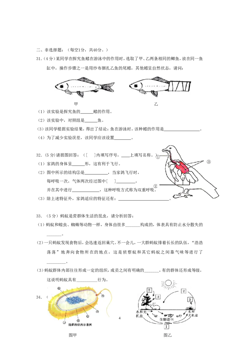 期末测试题3（含答案）_1、初中学习资料_4-6、生物_4-6-3、初二生物上册_4、期末试卷（35份）_赠送期末题27份