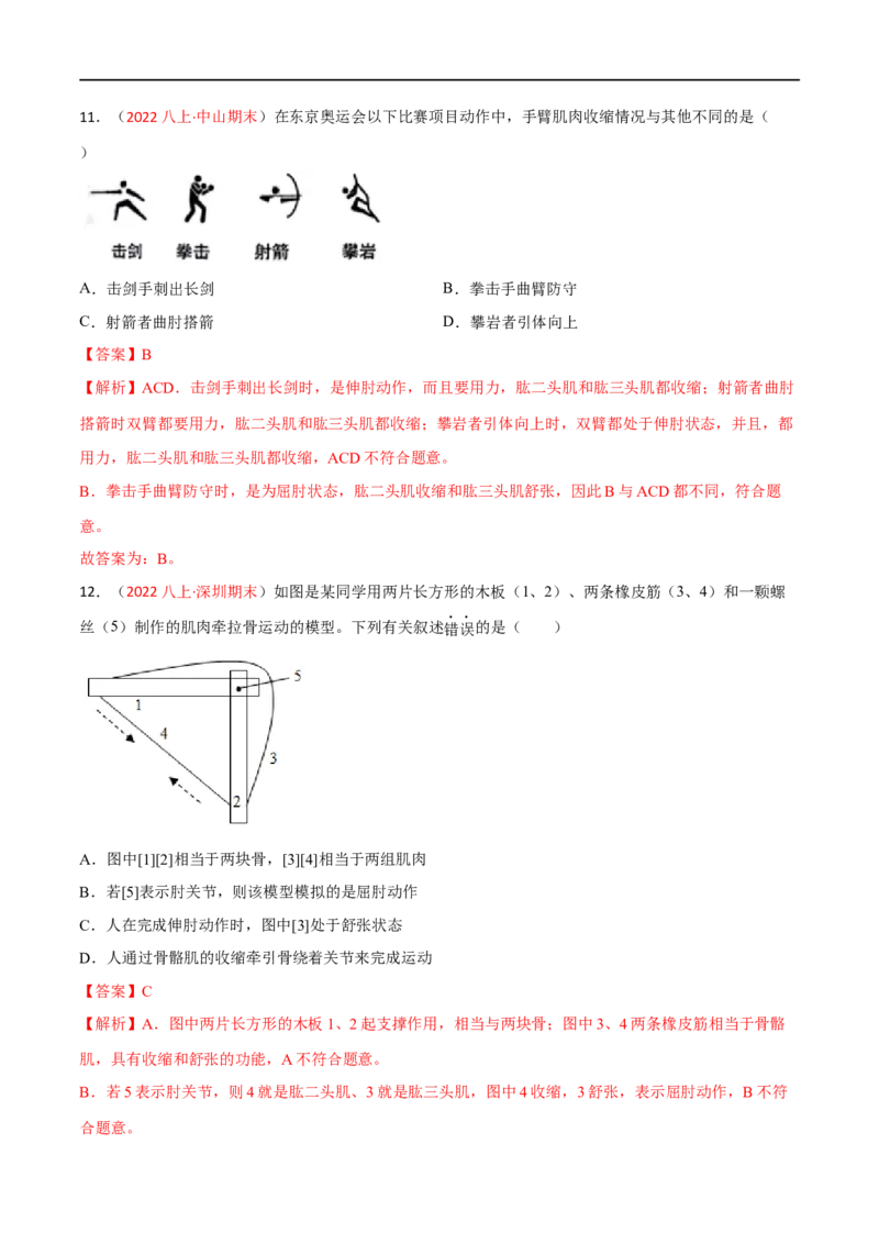 第二、三章动物的运动和行为及动物在生物圈中的作用（A卷&middot;知识通关练）（解析版）_1、初中学习资料_4-6、生物_4-6-3、初二生物上册_2、单元测试（23份）