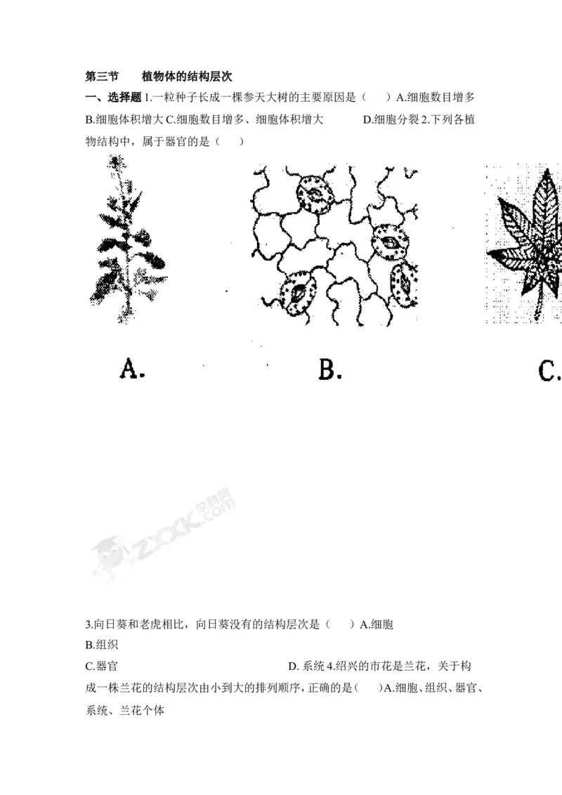 植物体的结构层次习题1含答案_1、初中学习资料_4-6、生物_4-6-1、初一生物上册_同步练习-138份_2、同步练习第2套115份_第2单元生物体的结构层次_2.2.3植物体的结构层次