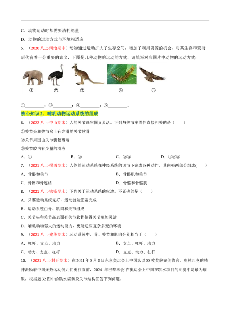 第二、三章动物的运动和行为及动物在生物圈中的作用（A卷&middot;知识通关练）（原卷版）_1、初中学习资料_4-6、生物_4-6-3、初二生物上册_2、单元测试（23份）
