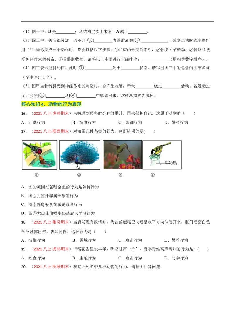 第二、三章动物的运动和行为及动物在生物圈中的作用（A卷&middot;知识通关练）（原卷版）_1、初中学习资料_4-6、生物_4-6-3、初二生物上册_2、单元测试（23份）