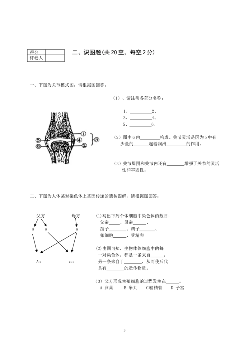 期末测试题15（含答案）_1、初中学习资料_4-6、生物_4-6-3、初二生物上册_4、期末试卷（35份）_赠送期末题27份