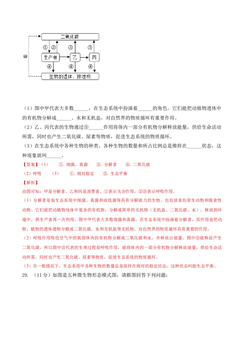 期末预测卷-2022-2023学年八年级生物上册课后培优分级练（人教版）（解析版）_1、初中学习资料_4-6、生物_4-6-3、初二生物上册_4、期末试卷（35份）