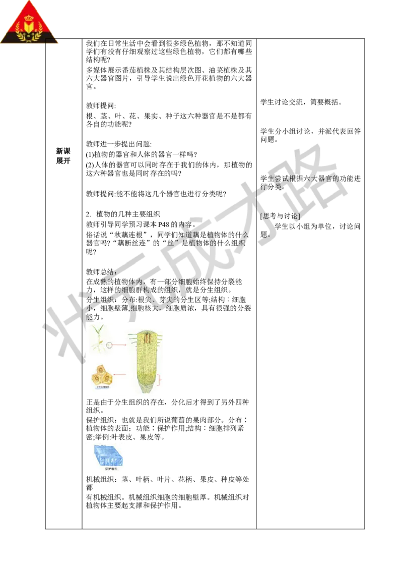 第三节植物体的结构层次_1、初中学习资料_2024秋改版_七上生物最新版课件_教案_第一单元生物和细胞_第三章从细胞到生物体