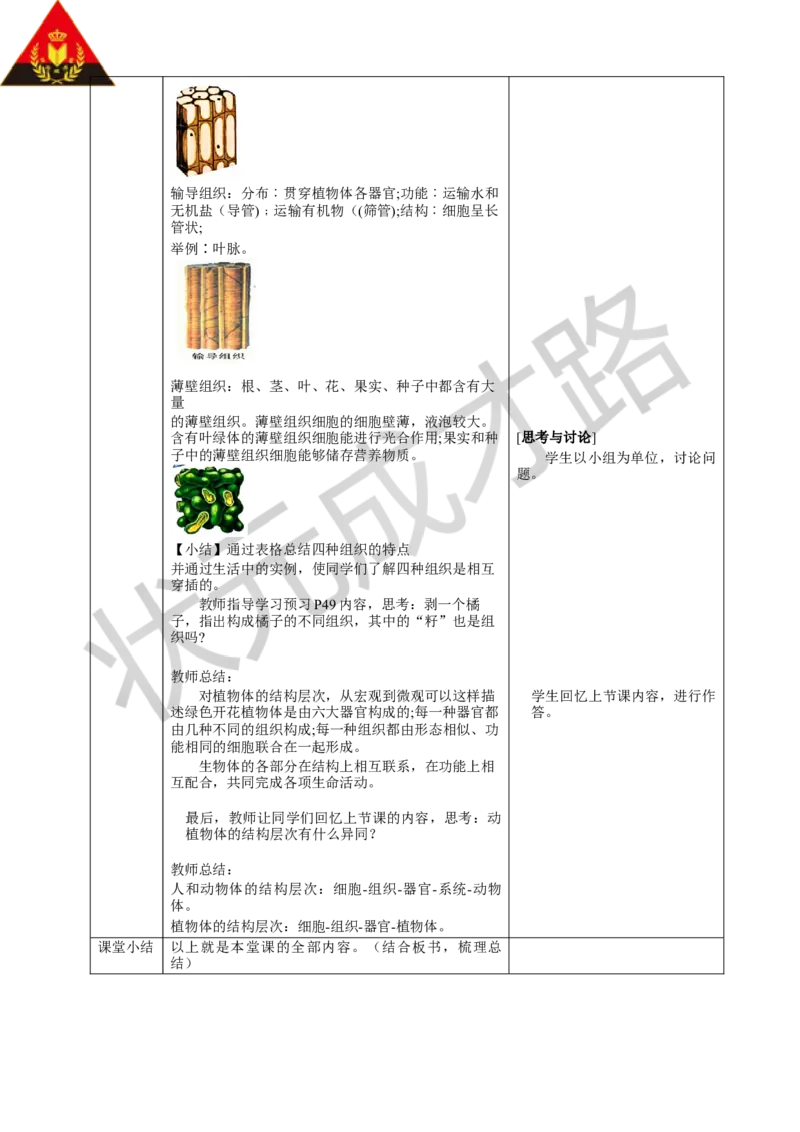 第三节植物体的结构层次_1、初中学习资料_2024秋改版_七上生物最新版课件_教案_第一单元生物和细胞_第三章从细胞到生物体