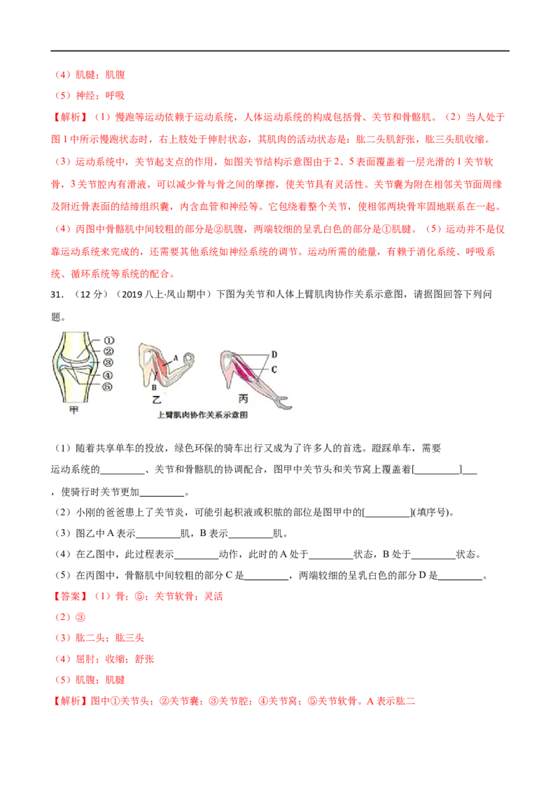 第二、三章动物的运动和行为及动物在生物圈中的作用（B卷&middot;能力提升练）（解析版）_1、初中学习资料_4-6、生物_4-6-3、初二生物上册_2、单元测试（23份）