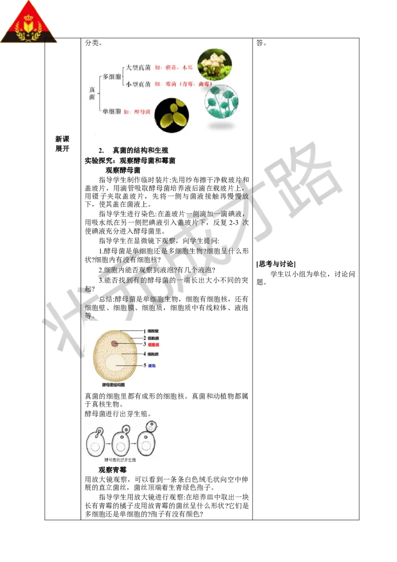 第三节真菌_1、初中学习资料_2024秋改版_七上生物最新版课件_教案_第二单元多种多样的生物_第三章微生物