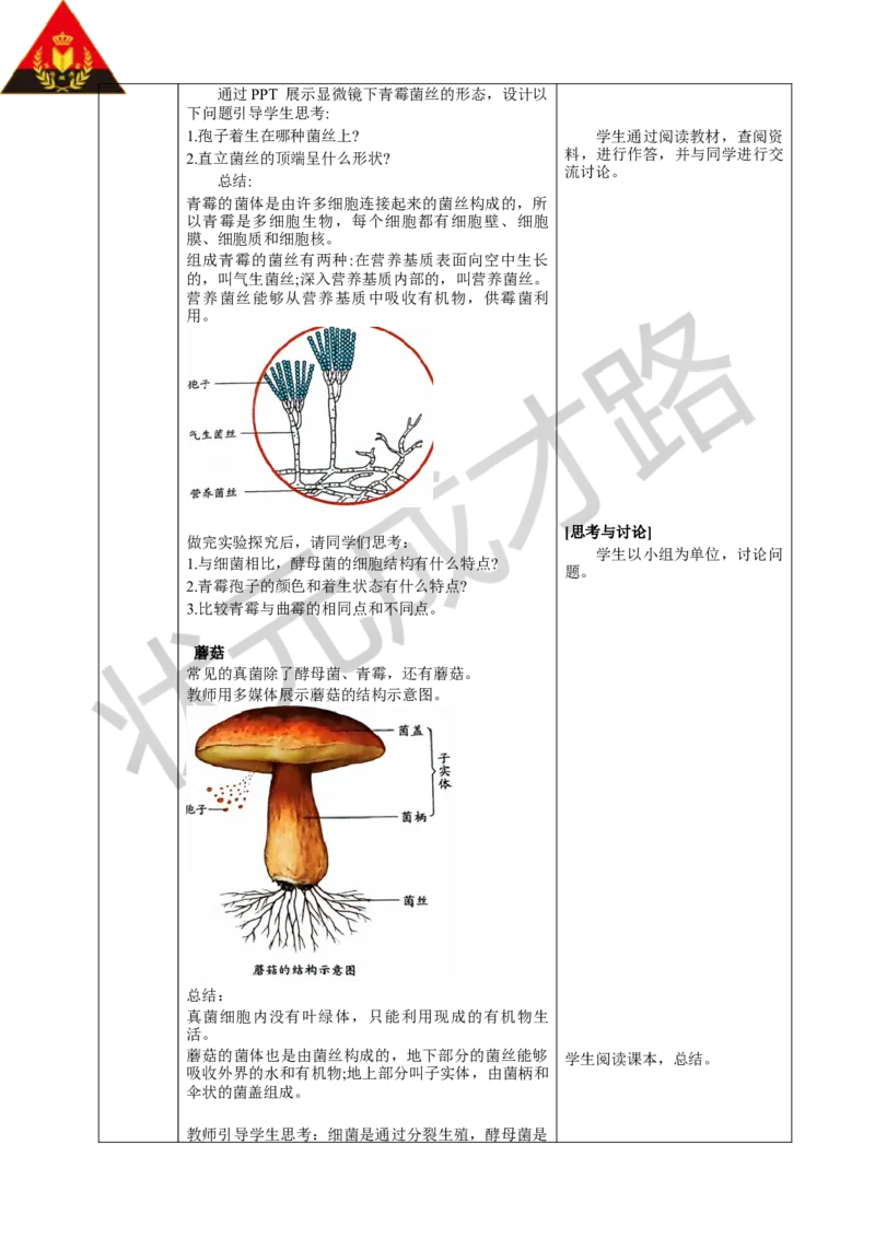 第三节真菌_1、初中学习资料_2024秋改版_七上生物最新版课件_教案_第二单元多种多样的生物_第三章微生物
