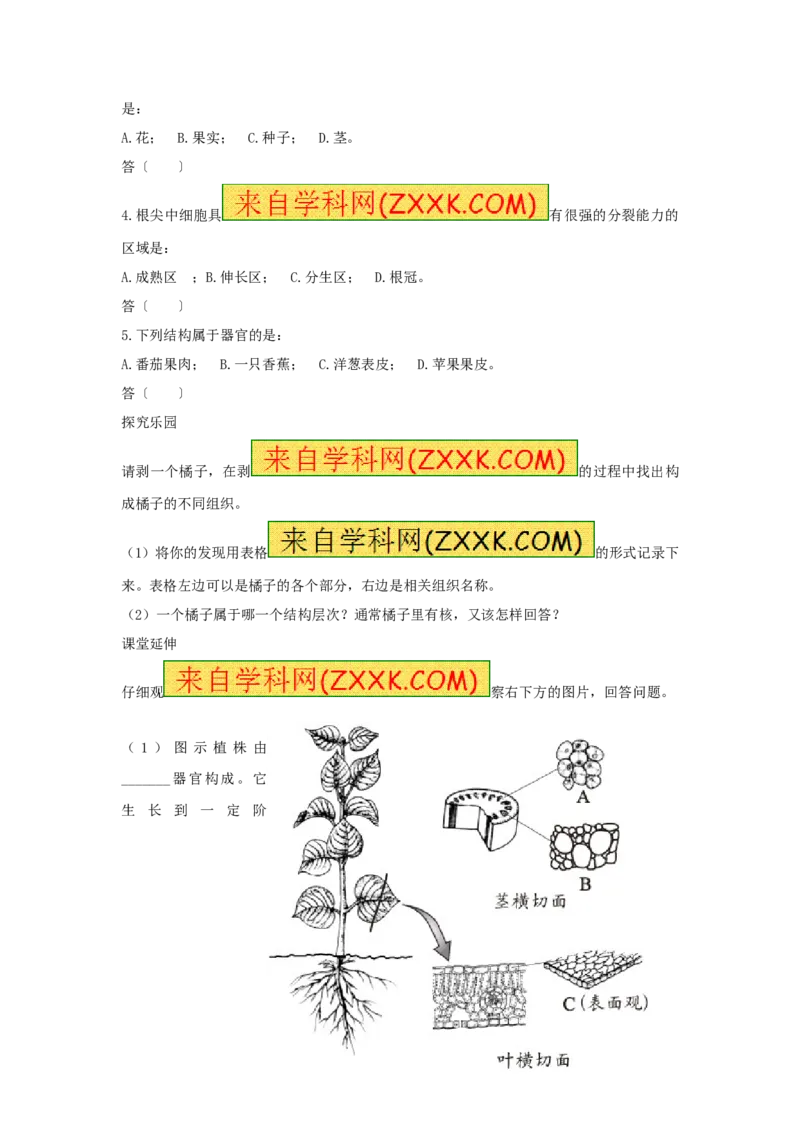 植物体的结构层次习题5含答案_1、初中学习资料_4-6、生物_4-6-1、初一生物上册_同步练习-138份_2、同步练习第2套115份_第2单元生物体的结构层次_2.2.3植物体的结构层次
