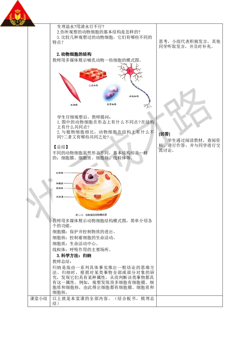 第三节动物细胞_1、初中学习资料_2024秋改版_七上生物最新版课件_教案_第一单元生物和细胞_第二章认识细胞