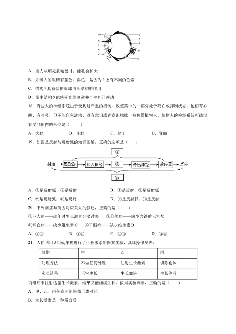 第六章人体生命活动的调节（满分培优卷）-2021-2022学年七年级生物下册基础与培优高效突破测试卷（人教版）（原卷版）_new_1、初中学习资料_4-6、生物_4-6-2、初一生物下册