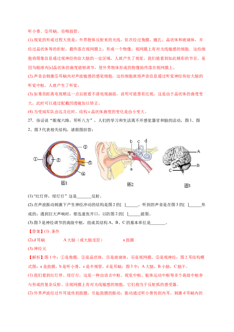 第六章人体生命活动的调节（满分培优卷）-2021-2022学年七年级生物下册基础与培优高效突破测试卷（人教版）（解析版）_new_1、初中学习资料_4-6、生物_4-6-2、初一生物下册
