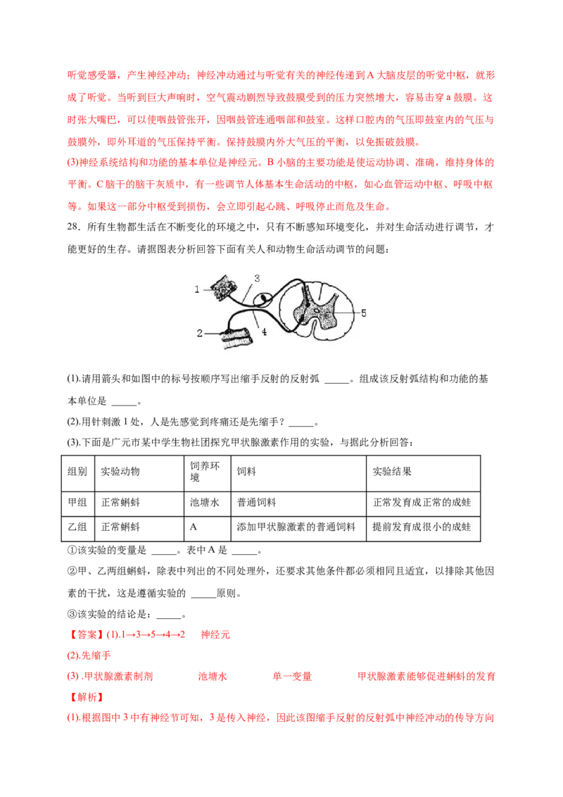 第六章人体生命活动的调节（满分培优卷）-2021-2022学年七年级生物下册基础与培优高效突破测试卷（人教版）（解析版）_new_1、初中学习资料_4-6、生物_4-6-2、初一生物下册