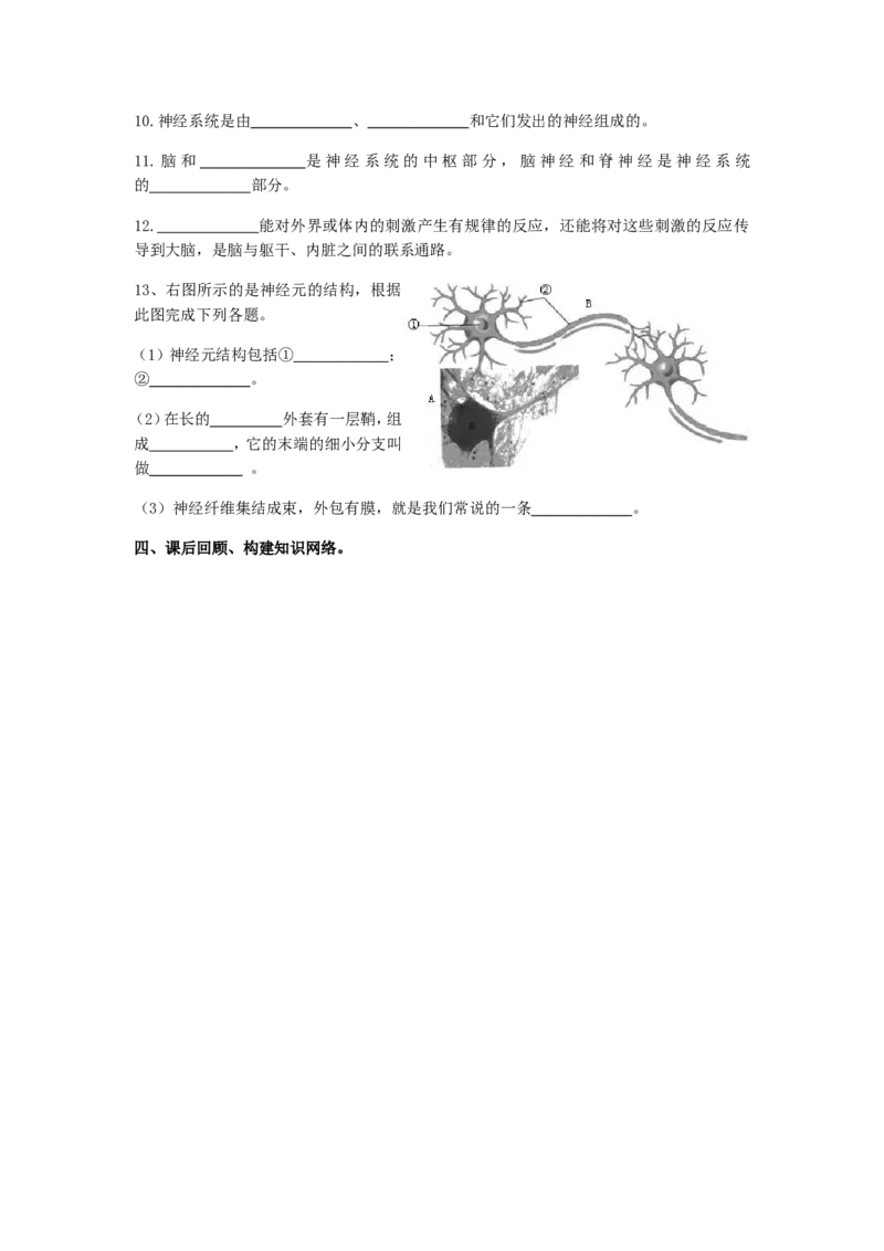 第二节神经系统的组成课时训练含答案_1、初中学习资料_4-6、生物_4-6-2、初一生物下册_同步练习（89份）_同步练习第2套（69份）_4.6人体生命活动的调节_第2节神经系统的组成