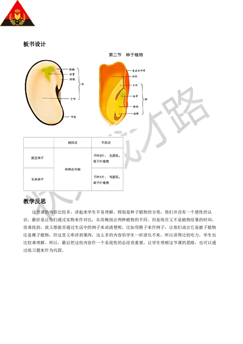第二节种子植物_1、初中学习资料_2024秋改版_七上生物最新版课件_教案_第二单元多种多样的生物_第一章藻类与植物的类群