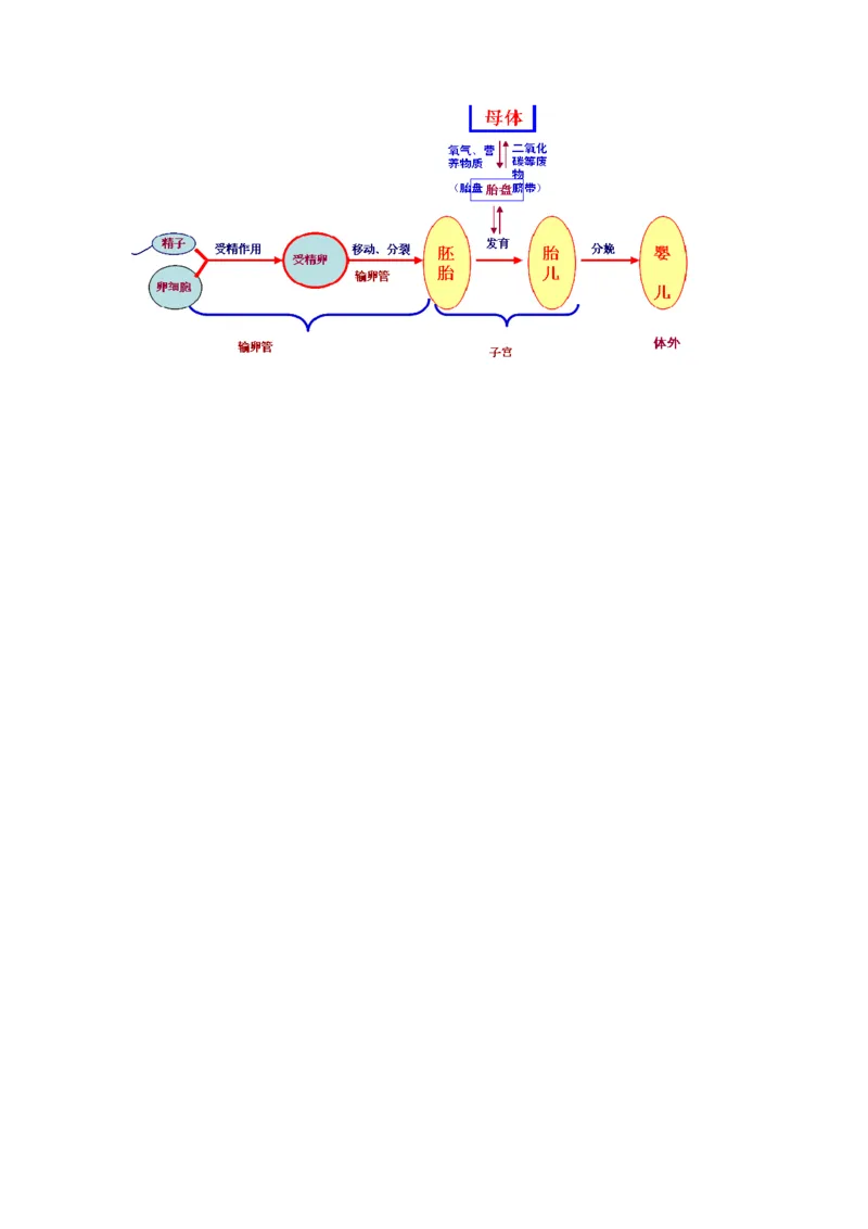 第二节人的生殖课时训练_1、初中学习资料_4-6、生物_4-6-2、初一生物下册_同步练习（89份）_同步练习第2套（69份）_4.1人的由来_第2节人的生殖