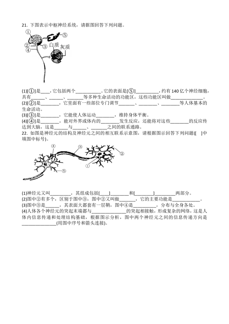 第六章第二节　神经系统的组成同步练习题含答案_1、初中学习资料_4-6、生物_4-6-2、初一生物下册_同步练习（89份）_同步练习第2套（69份）_4.6人体生命活动的调节