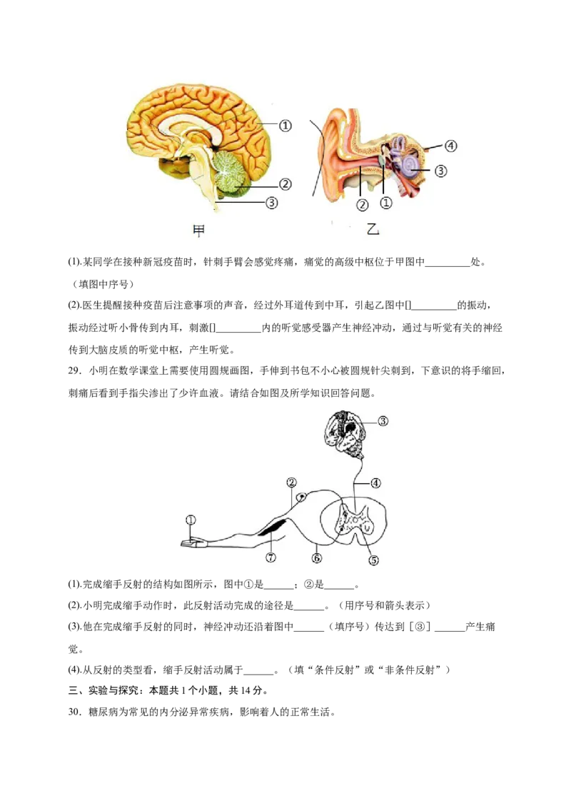 第六章人体生命活动的调节（基础突破卷）-2021-2022学年七年级生物下册基础与培优高效突破测试卷（人教版）（原卷版）_new_1、初中学习资料_4-6、生物_4-6-2、初一生物下册