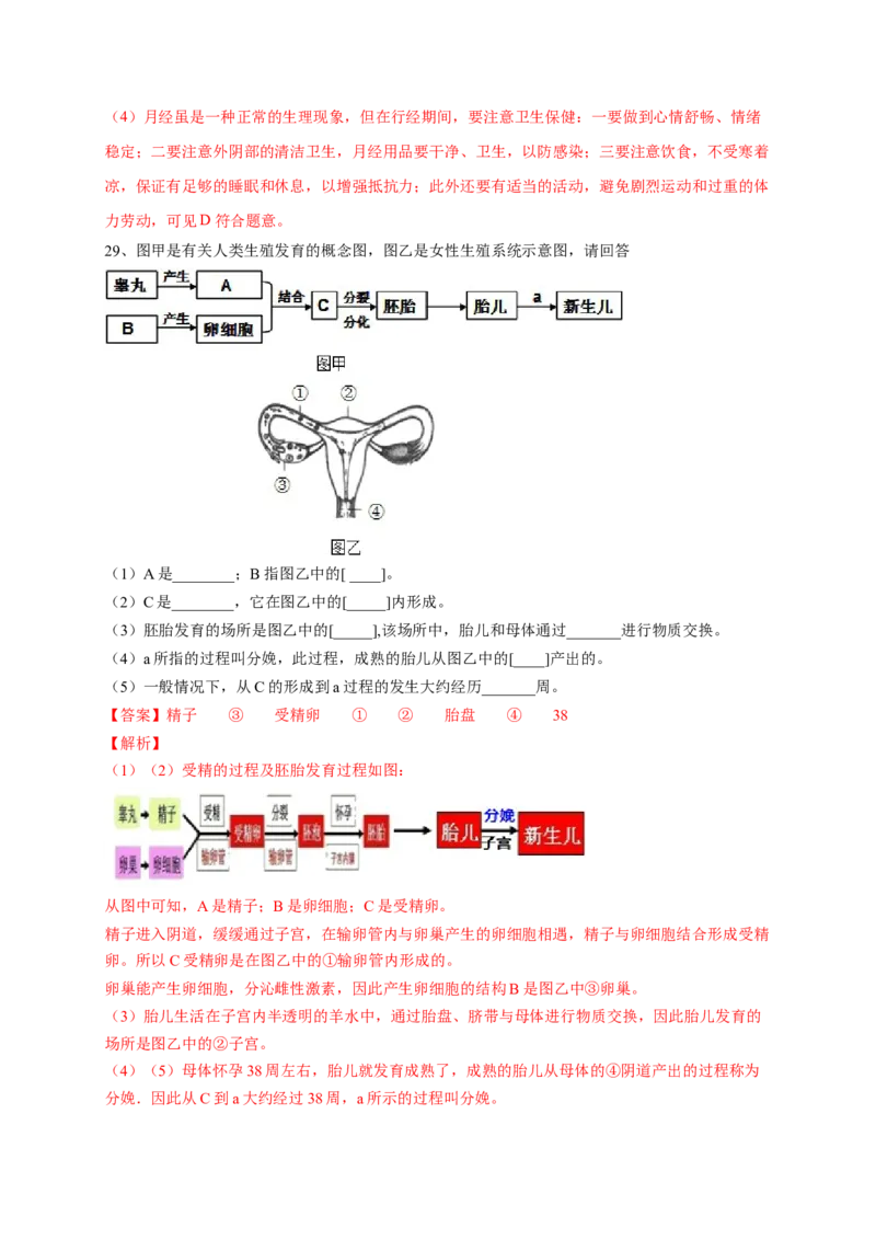 第一章人的由来（基础突破卷）-2021-2022学年七年级生物下册基础与培优高效突破测试卷（人教版）（解析版）_new_1、初中学习资料_4-6、生物_4-6-2、初一生物下册