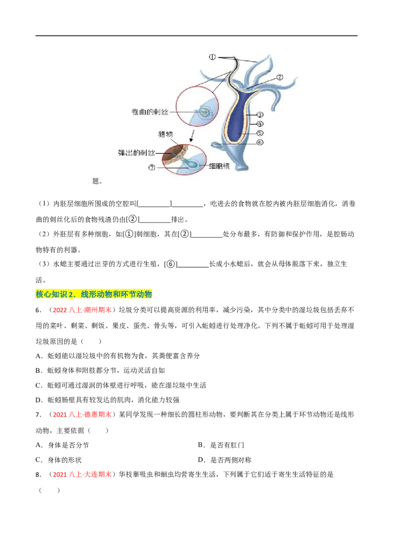第一章动物的主要类群（A卷&middot;知识通关练）（原卷版）_1、初中学习资料_4-6、生物_4-6-3、初二生物上册_2、单元测试（23份）_1、第1套单元测试2022-2023学年