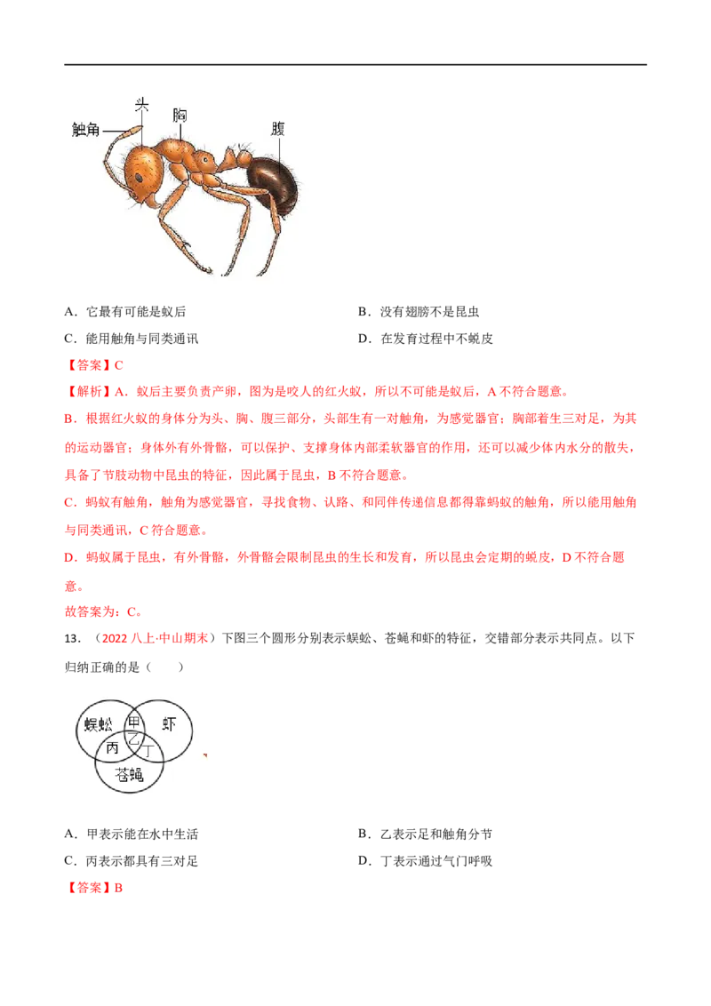 第一章动物的主要类群（A卷&middot;知识通关练）（解析版）_1、初中学习资料_4-6、生物_4-6-3、初二生物上册_2、单元测试（23份）_1、第1套单元测试2022-2023学年