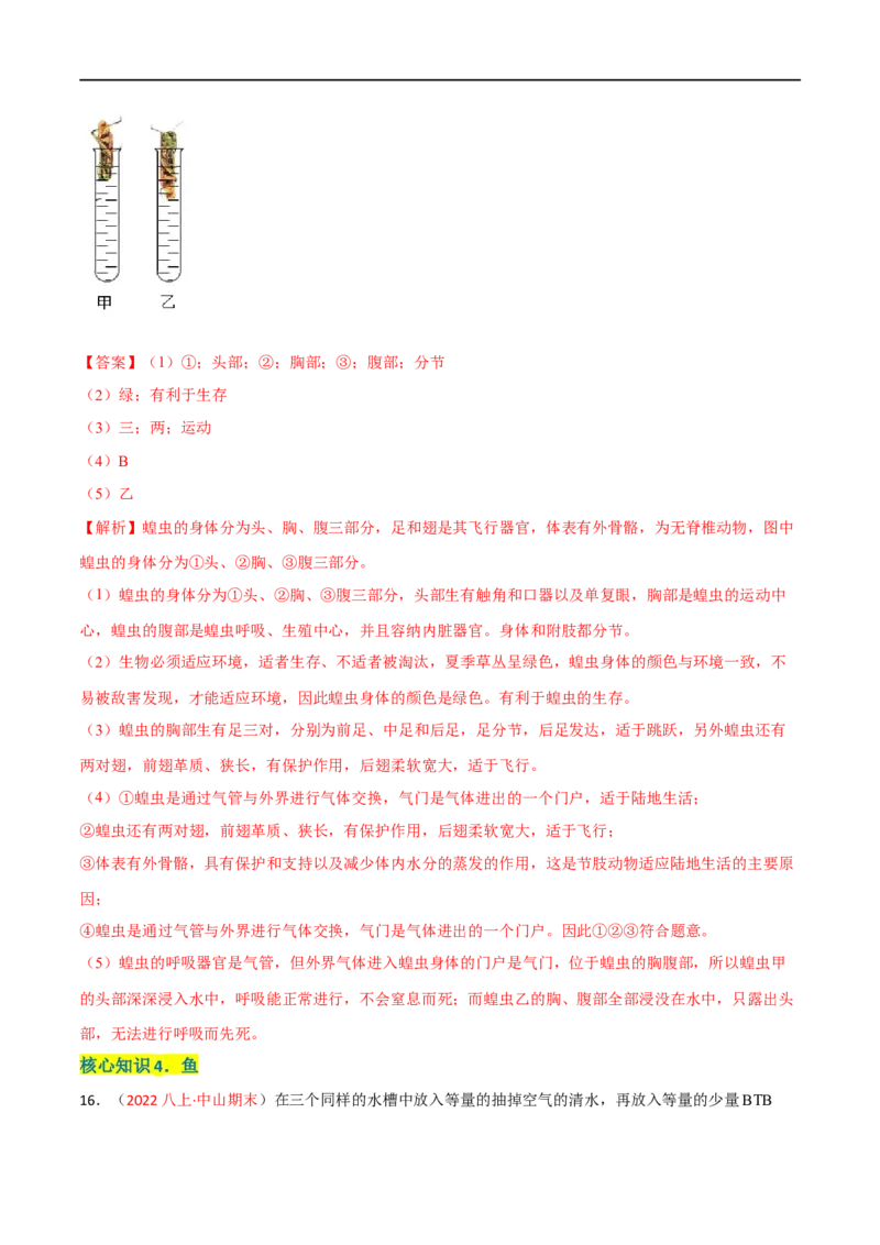 第一章动物的主要类群（A卷&middot;知识通关练）（解析版）_1、初中学习资料_4-6、生物_4-6-3、初二生物上册_2、单元测试（23份）_1、第1套单元测试2022-2023学年
