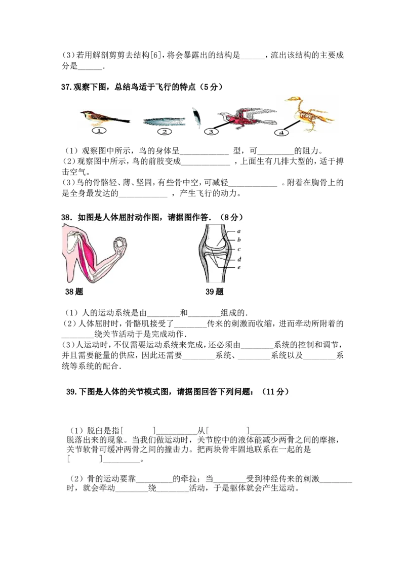 第一次月考试题2含答案_1、初中学习资料_4-6、生物_4-6-3、初二生物上册_5、月考试卷（10份）_赠送月考试题6份