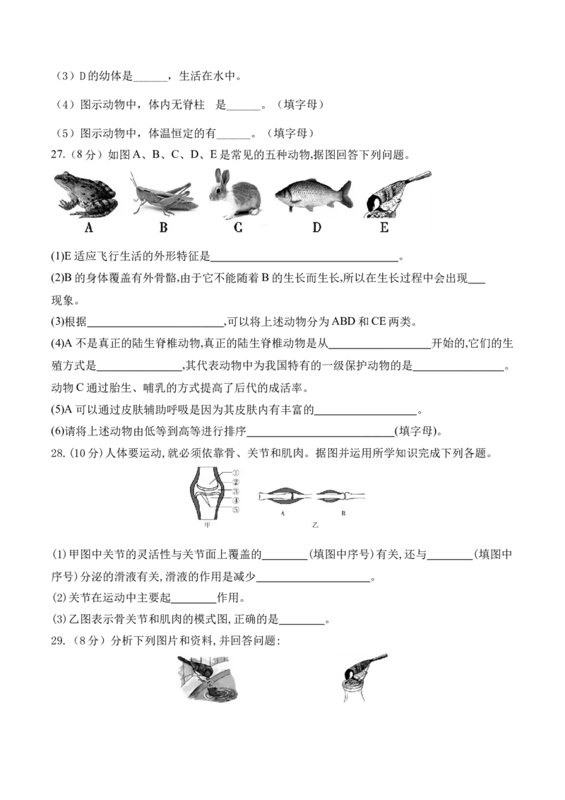 第一次月考-2022-2023学年八年级生物上册课后培优分级练（人教版）（原卷版）_1、初中学习资料_4-6、生物_4-6-3、初二生物上册_5、月考试卷（10份）