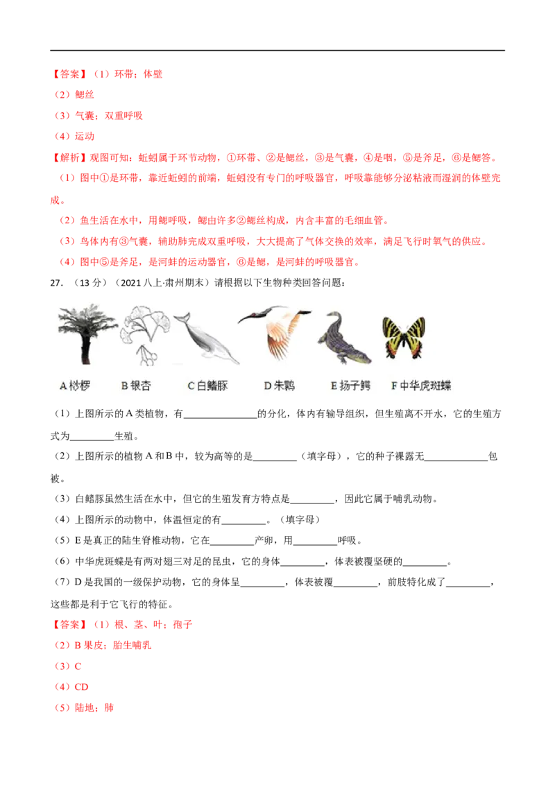 第一章动物的主要类群（B卷&middot;能力提升练）（解析版）_1、初中学习资料_4-6、生物_4-6-3、初二生物上册_2、单元测试（23份）_1、第1套单元测试2022-2023学年
