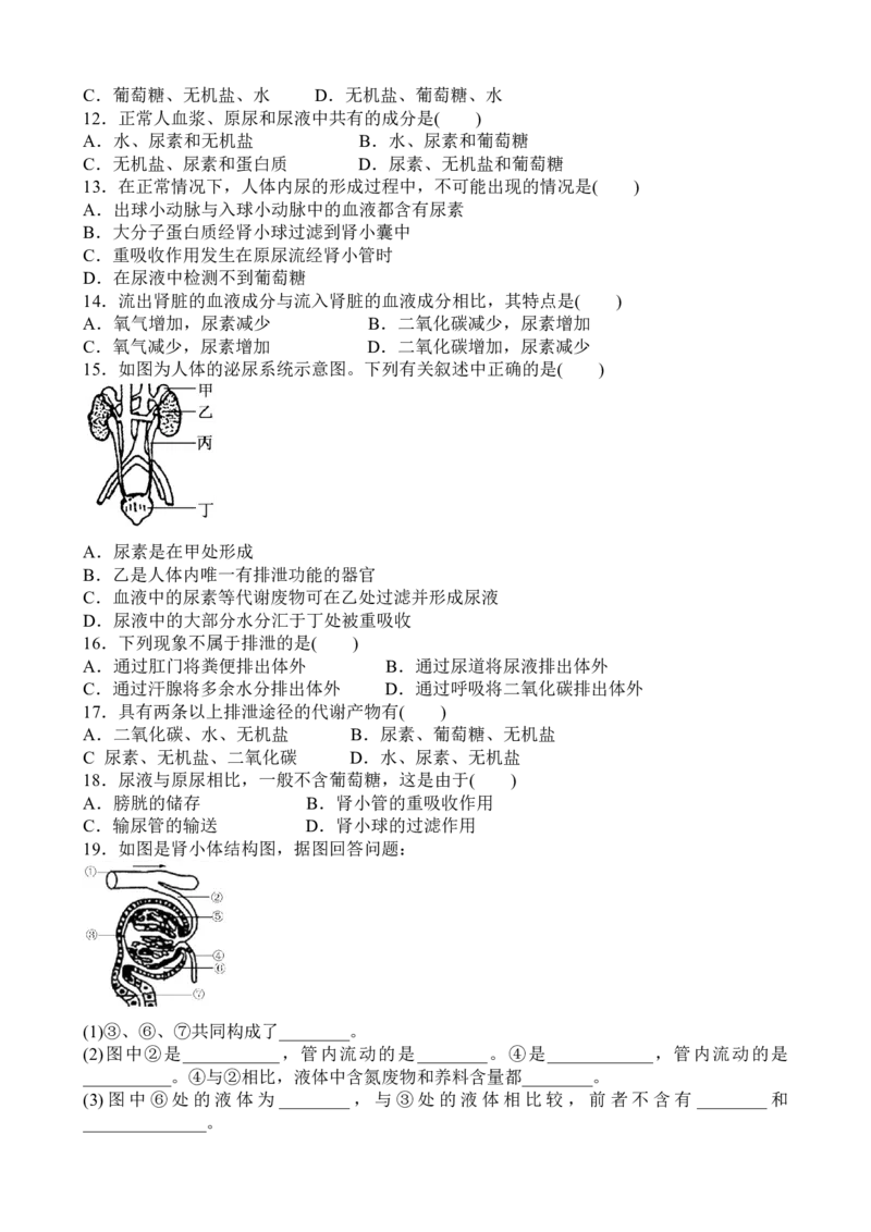 第五章人体内废物的排出章节测试题含答案_1、初中学习资料_4-6、生物_4-6-2、初一生物下册_同步练习（89份）_同步练习第2套（69份）_4.5人体内废物的排出