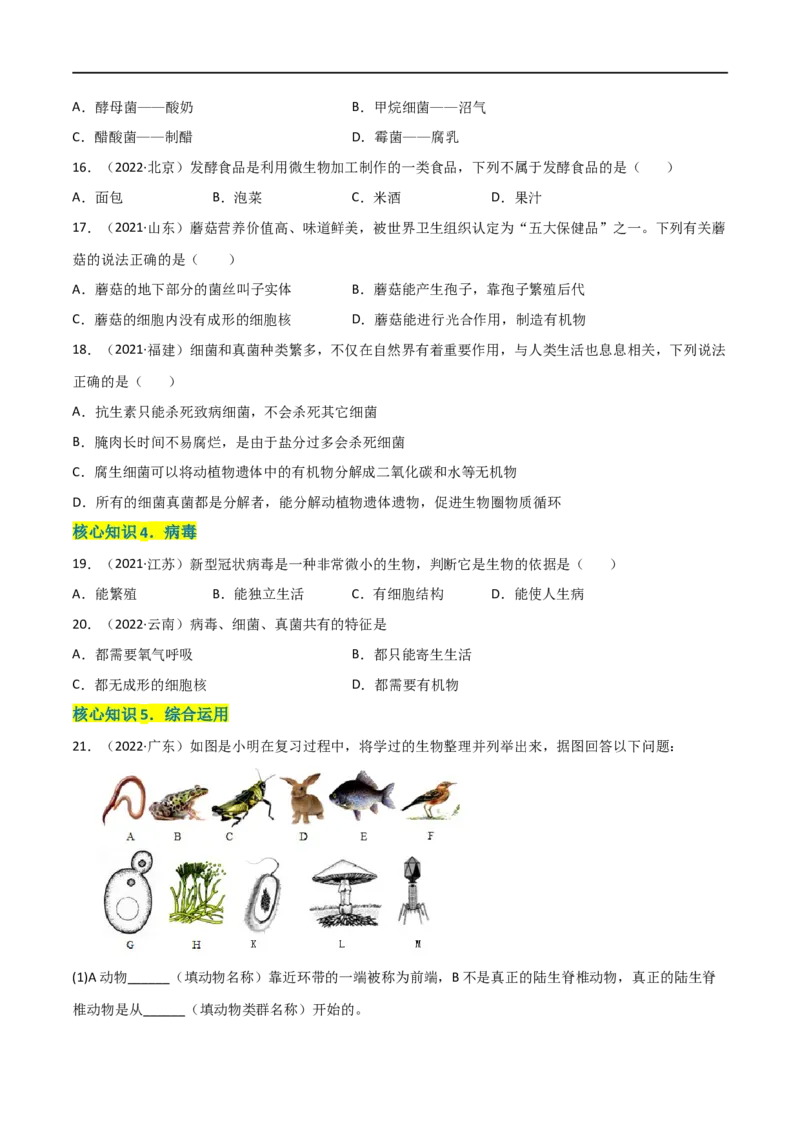第五单元生物圈中的其他生物（A卷&middot;知识通关练）（原卷版）_1、初中学习资料_4-6、生物_4-6-3、初二生物上册_2、单元测试（23份）_1、第1套单元测试2022-2023学年