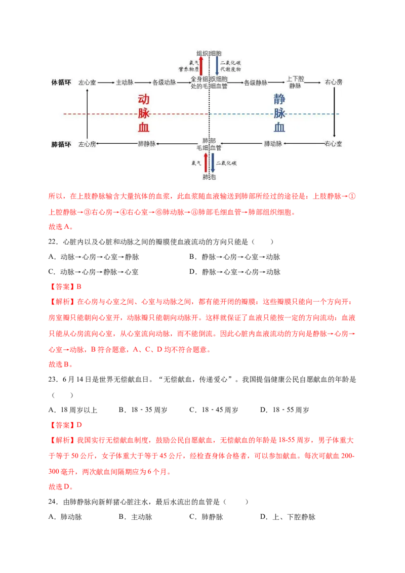 第四章人体内物质的运输（满分培优卷）-2021-2022学年七年级生物下册基础与培优高效突破测试卷（人教版）（解析版）_new_1、初中学习资料_4-6、生物_4-6-2、初一生物下册