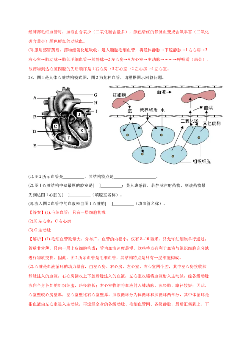 第四章人体内物质的运输（满分培优卷）-2021-2022学年七年级生物下册基础与培优高效突破测试卷（人教版）（解析版）_new_1、初中学习资料_4-6、生物_4-6-2、初一生物下册
