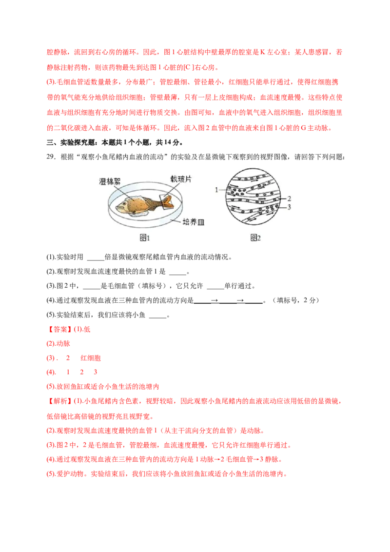 第四章人体内物质的运输（满分培优卷）-2021-2022学年七年级生物下册基础与培优高效突破测试卷（人教版）（解析版）_new_1、初中学习资料_4-6、生物_4-6-2、初一生物下册