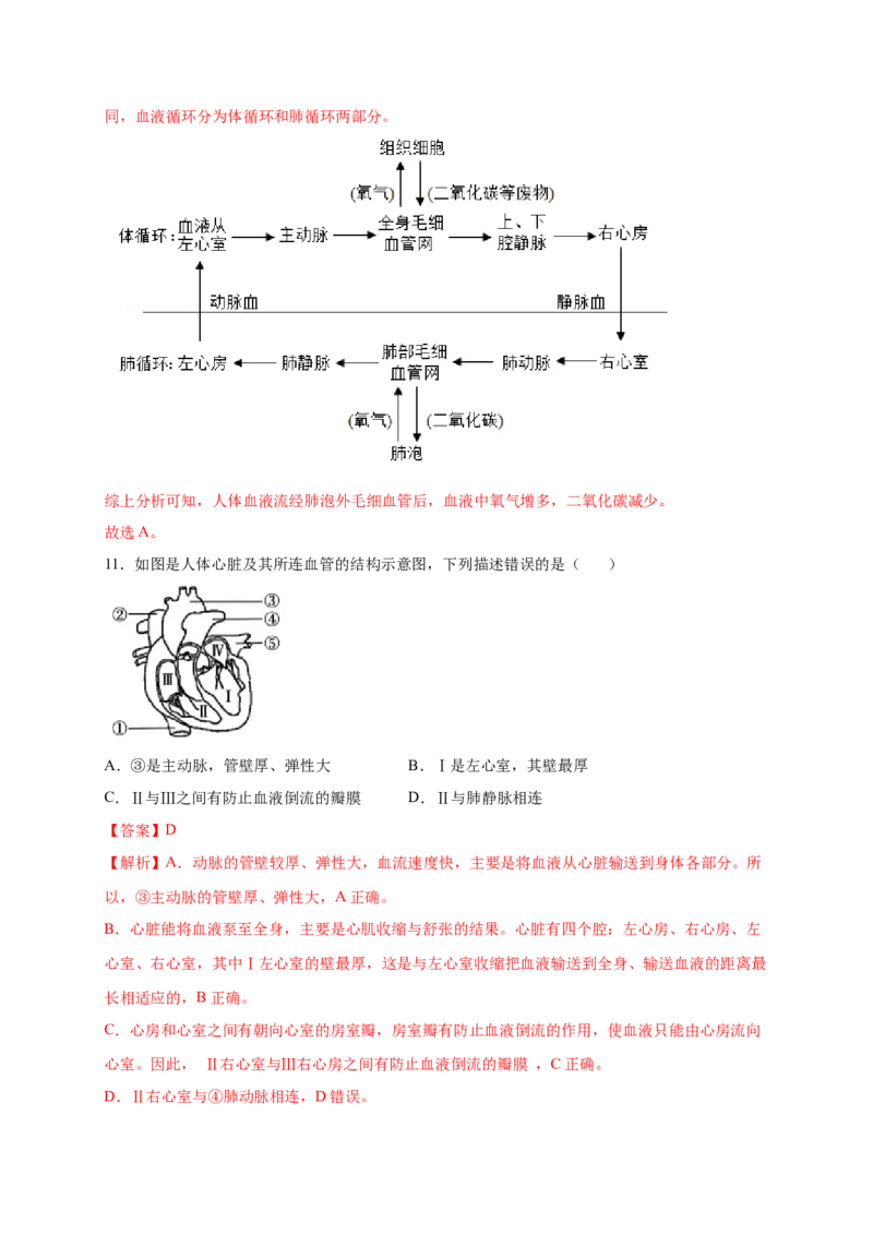 第四章人体内物质的运输（满分培优卷）-2021-2022学年七年级生物下册基础与培优高效突破测试卷（人教版）（解析版）_new_1、初中学习资料_4-6、生物_4-6-2、初一生物下册
