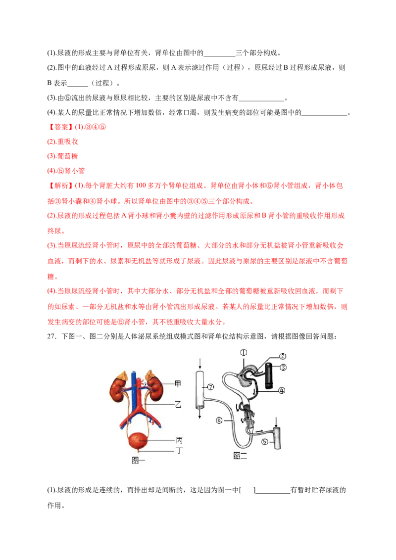 第五章人体废物的排出（基础突破卷）-2021-2022学年七年级生物下册基础与培优高效突破测试卷（人教版）（解析版）_new_1、初中学习资料_4-6、生物_4-6-2、初一生物下册