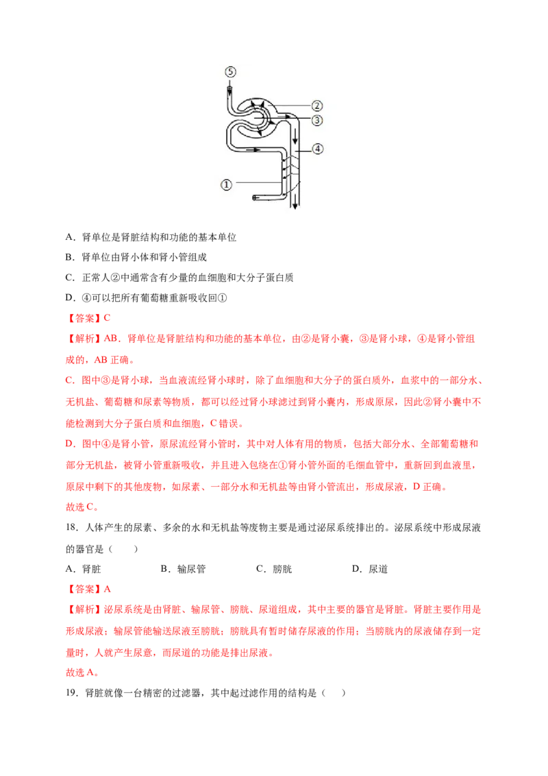 第五章人体废物的排出（基础突破卷）-2021-2022学年七年级生物下册基础与培优高效突破测试卷（人教版）（解析版）_new_1、初中学习资料_4-6、生物_4-6-2、初一生物下册