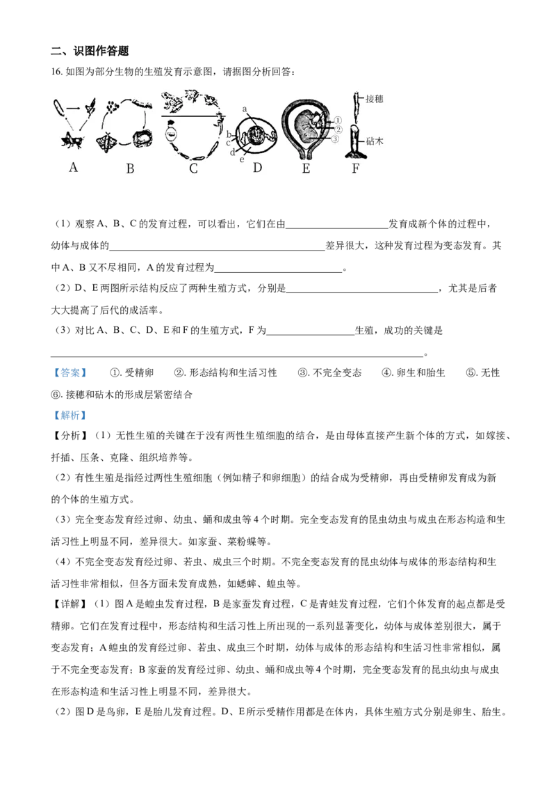 精品解析：河南省信阳市潢川县2020-2021学年八年级下学期期末生物试题（解析版）_1、初中学习资料_4-6、生物_4-6-4、初二生物下册_4、期末试卷（3份）