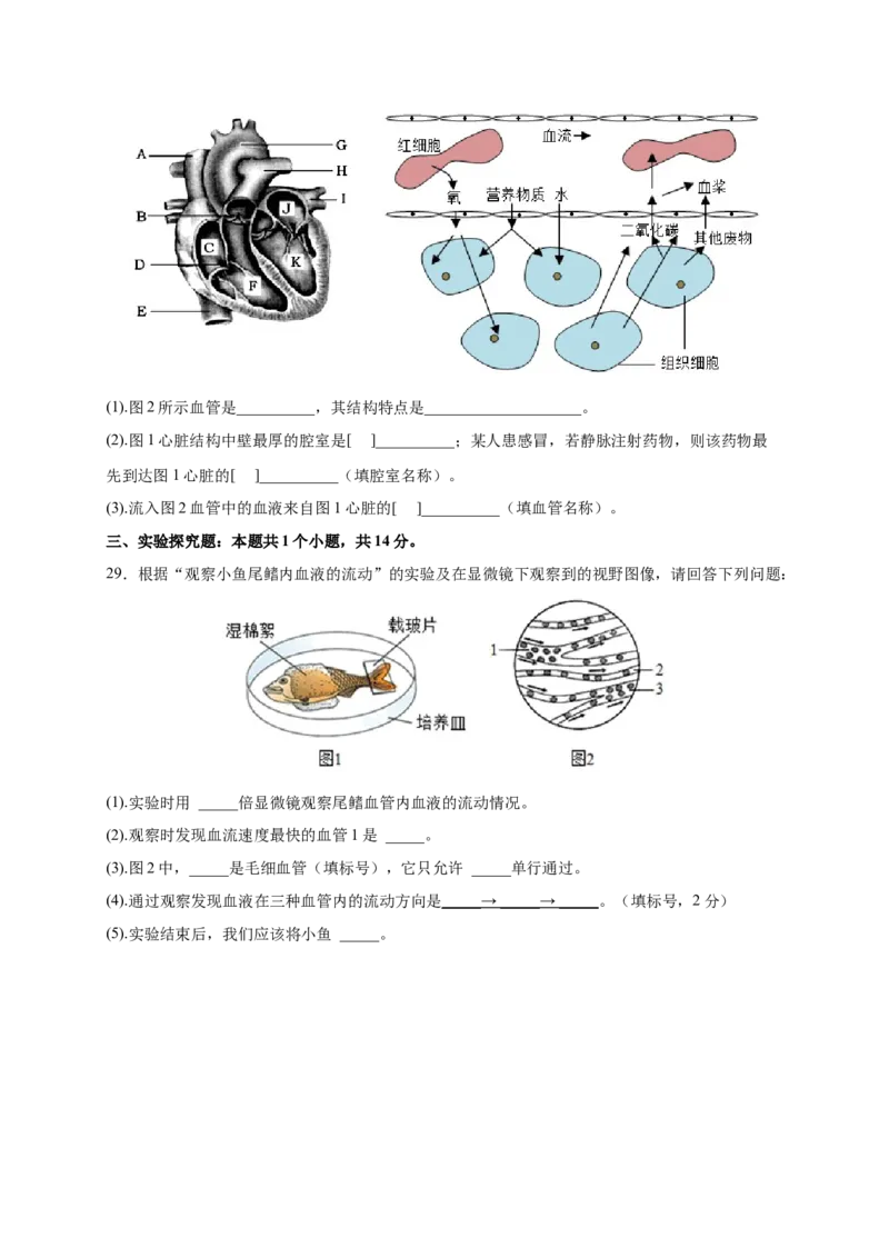 第四章人体内物质的运输（满分培优卷）-2021-2022学年七年级生物下册基础与培优高效突破测试卷（人教版）（原卷版）_new_1、初中学习资料_4-6、生物_4-6-2、初一生物下册
