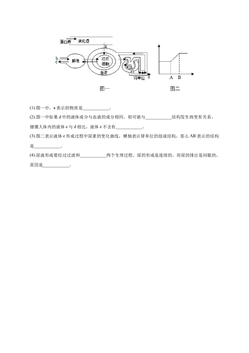 第五章人体废物的排出（满分培优卷）-2021-2022学年七年级生物下册基础与培优高效突破测试卷（人教版）（原卷版）_new_1、初中学习资料_4-6、生物_4-6-2、初一生物下册