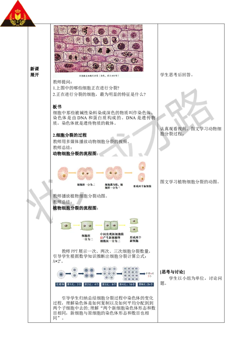 第一节细胞通过分裂产生新细胞_1、初中学习资料_2024秋改版_七上生物最新版课件_教案_第一单元生物和细胞_第三章从细胞到生物体