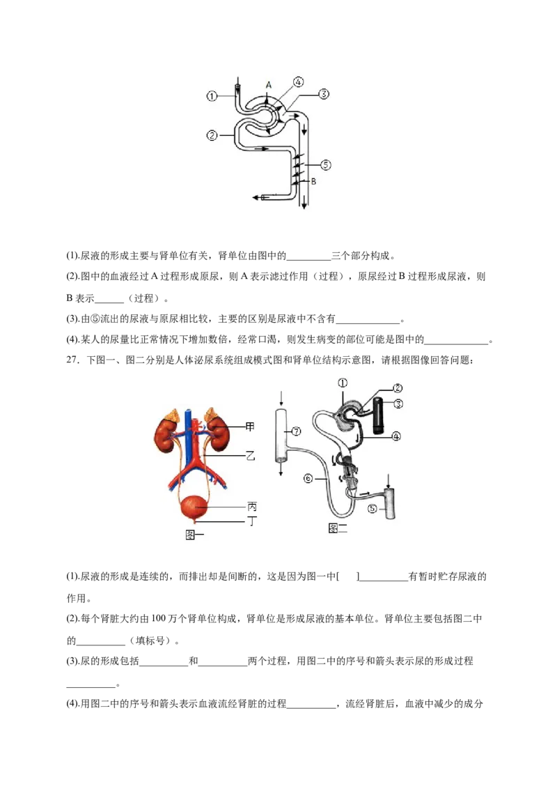 第五章人体废物的排出（基础突破卷）-2021-2022学年七年级生物下册基础与培优高效突破测试卷（人教版）（原卷版）_new_1、初中学习资料_4-6、生物_4-6-2、初一生物下册
