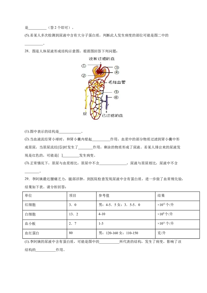 第五章人体废物的排出（基础突破卷）-2021-2022学年七年级生物下册基础与培优高效突破测试卷（人教版）（原卷版）_new_1、初中学习资料_4-6、生物_4-6-2、初一生物下册