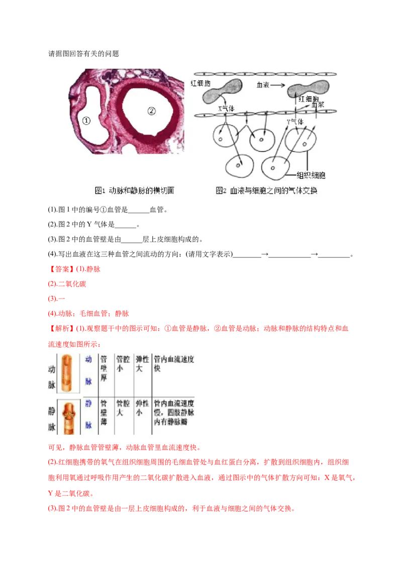 第四章人体内物质的运输（基础突破卷）-2021-2022学年七年级生物下册基础与培优高效突破测试卷（人教版）（解析版）_new_1、初中学习资料_4-6、生物_4-6-2、初一生物下册