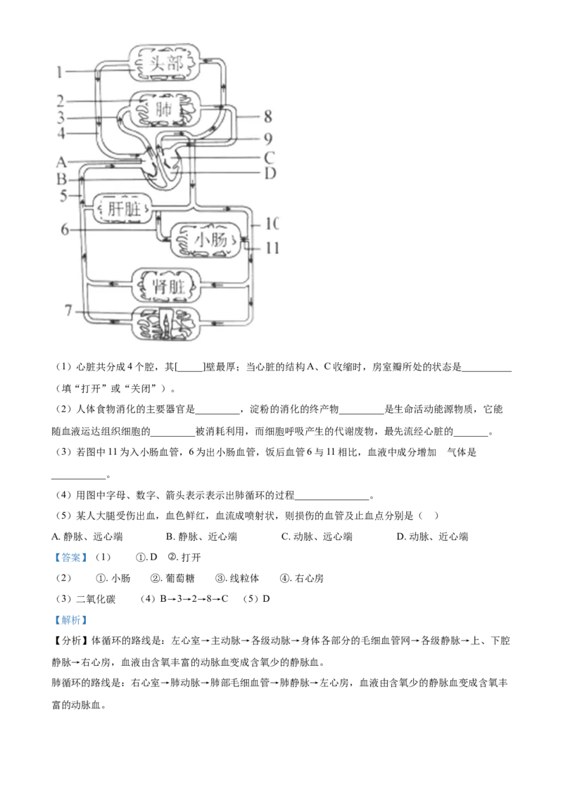 精品解析：湖北省武汉四中2020-2021学年七年级下学期第一次月考生物试题（解析版）_1、初中学习资料_4-6、生物_4-6-2、初一生物下册_月考试卷（7份）