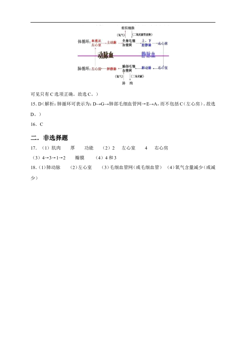 输送血液的泵&mdash;&mdash;心脏同步训练（含答案）_1、初中学习资料_4-6、生物_4-6-2、初一生物下册_同步练习（89份）_同步练习第2套（69份）_4.4人体内的物质运输_第3节输送血液的泵